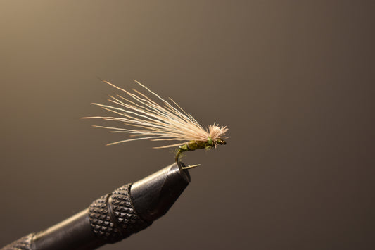 Elk Hair Caddis